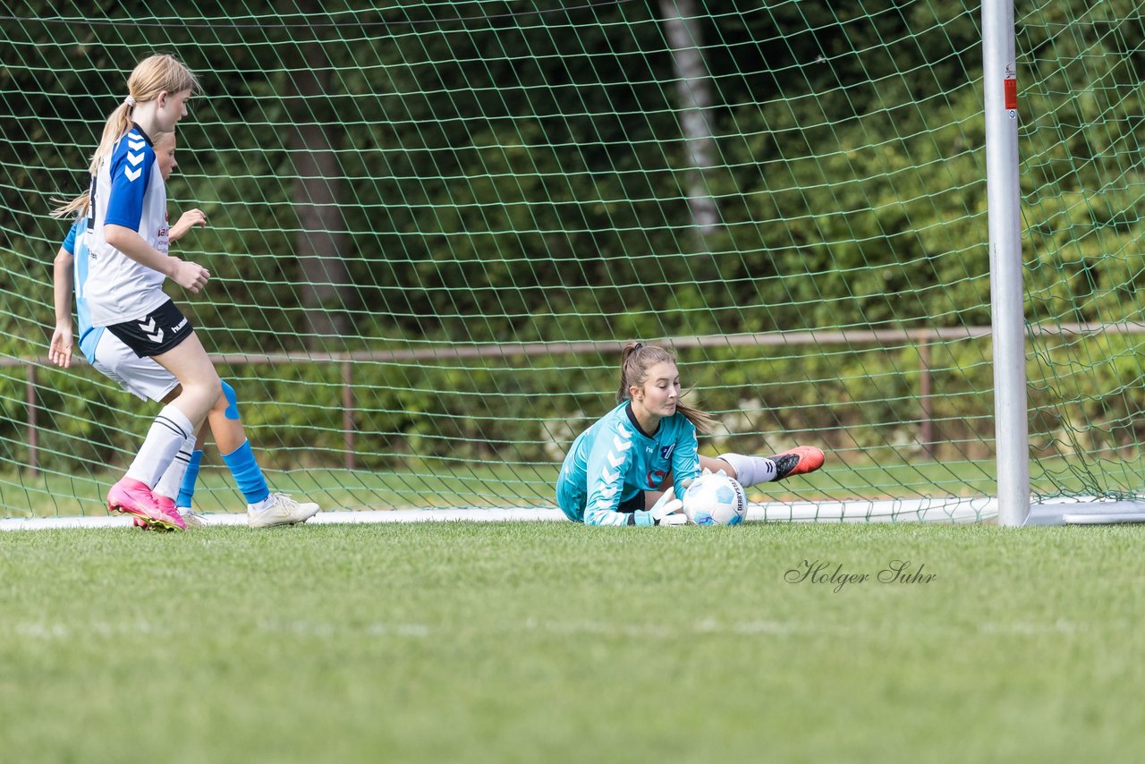 Bild 272 - wBJ VfL Pinneberg - Germania Schnelsen : Ergebnis: 15:1